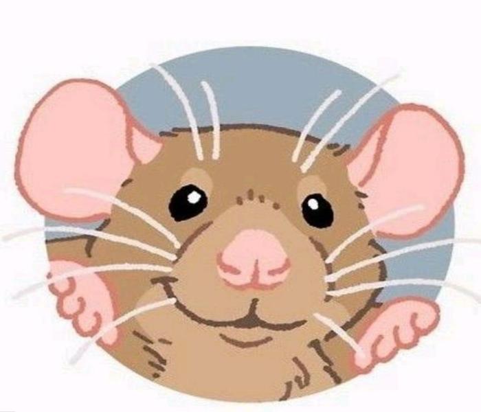Avatar chuột chibi dễ thương