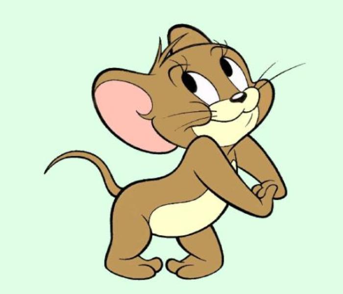Hình đại diện, avatar con chuột Jerry dễ thương