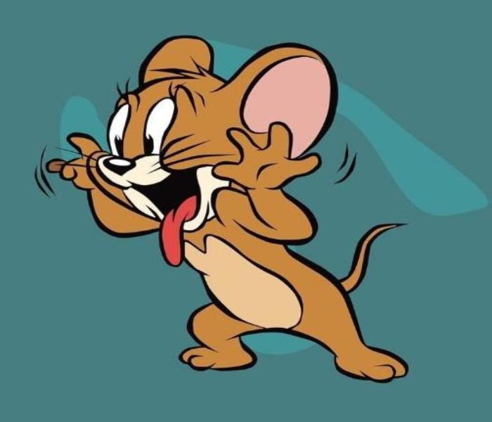 Hình đại diện, avatar con chuột Jerry dễ thương