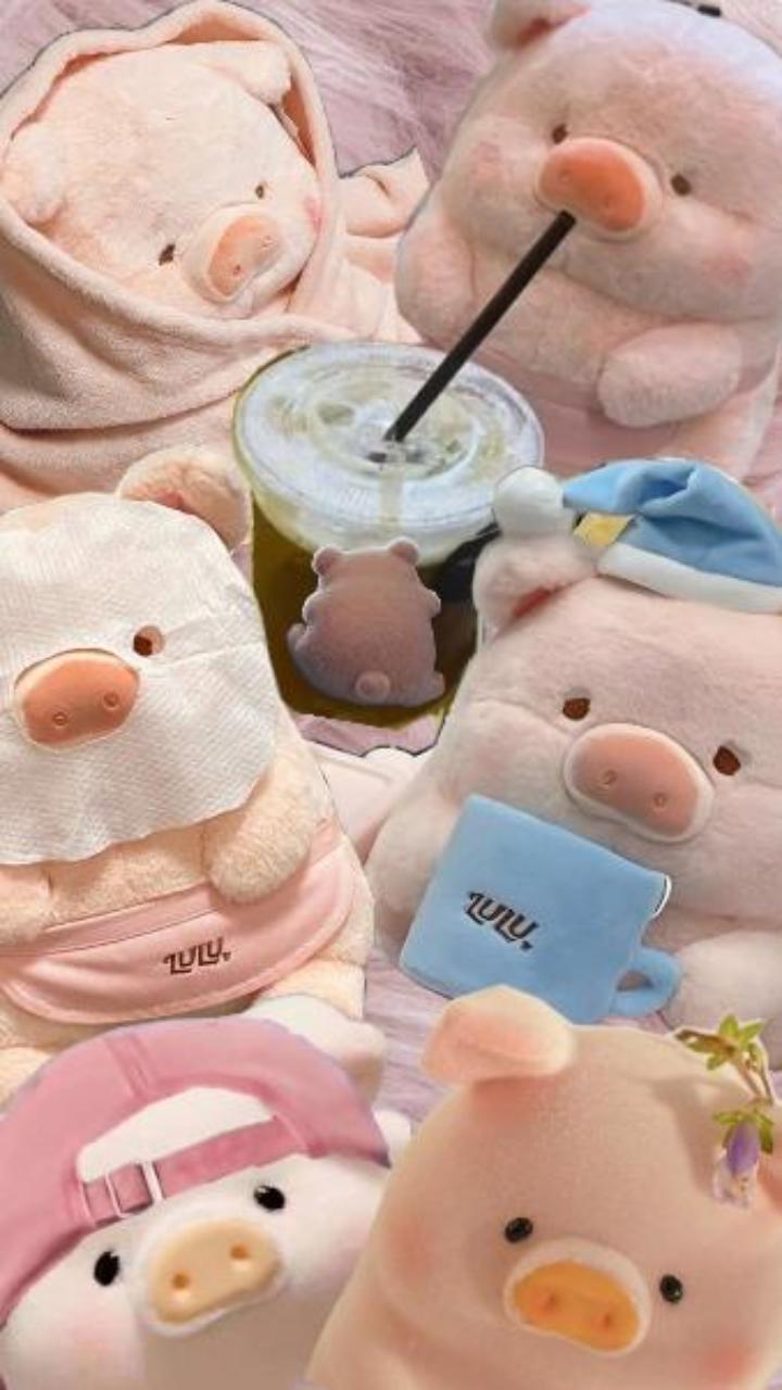 Hình nền heo hồng gấu bông dễ thương miễn phí 