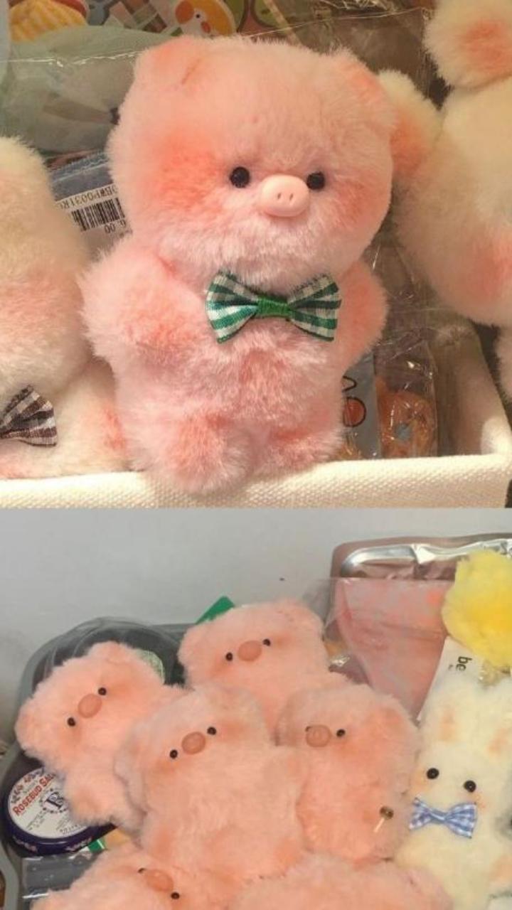 Hình nền heo hồng gấu bông dễ thương miễn phí 