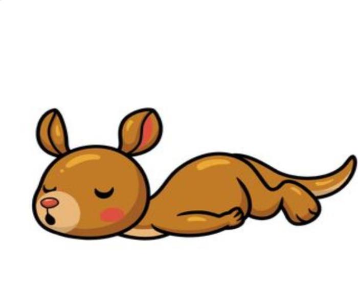 Hình vẽ con chuột túi sinh động