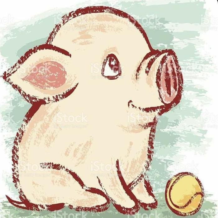 Hình vẽ con heo đơn giản