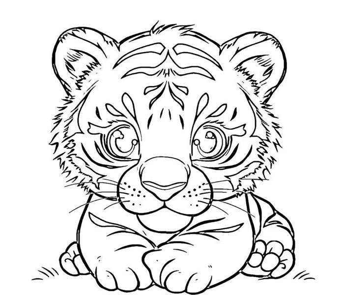 Tô màu con hổ chibi