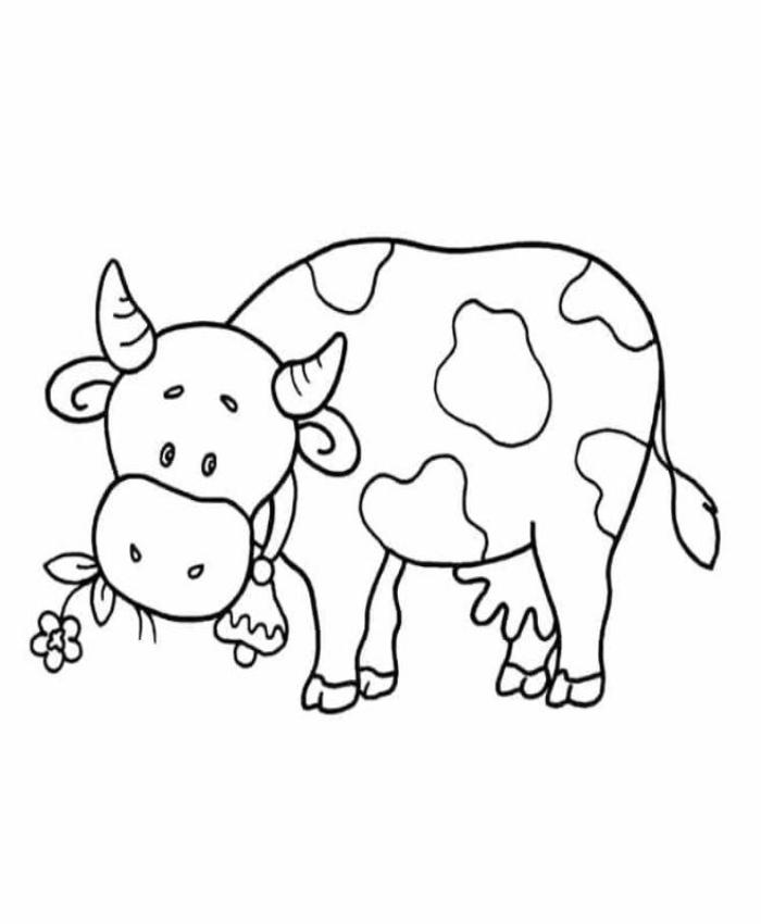Tranh tô màu bò sữa cute