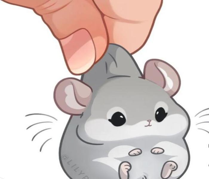 Hình vẽ chuột hamster chibi siêu cute