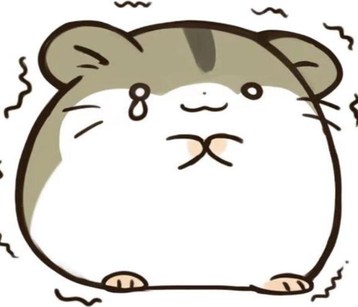 Tranh vẽ con chuột hamster hài hước