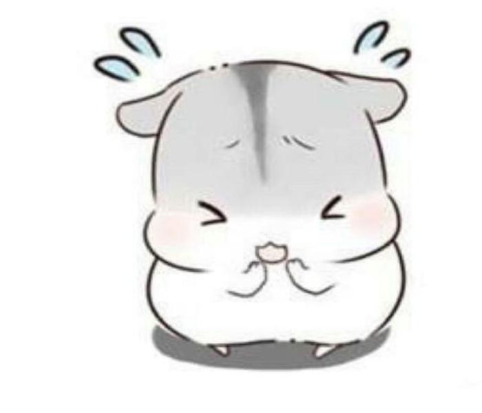 Tranh vẽ con chuột hamster hài hước