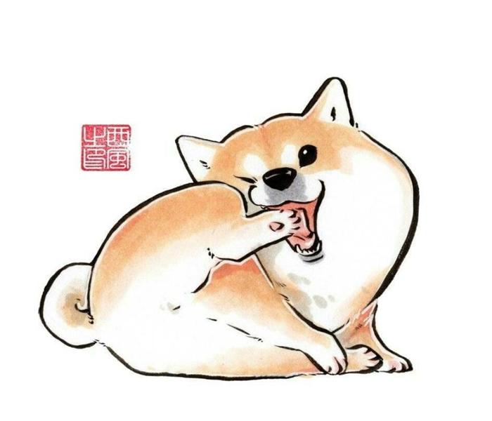 Hình ảnh chó mập chibi