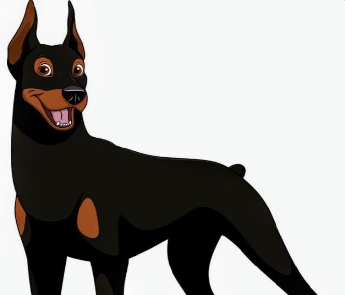 Hình chó Dobeman chibi anime cute