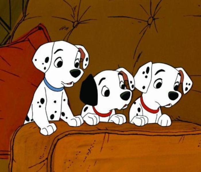 Hình chó đốm hoạt hình cute