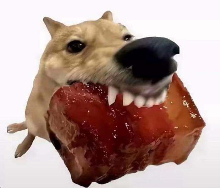Hình ảnh chó gặm meme