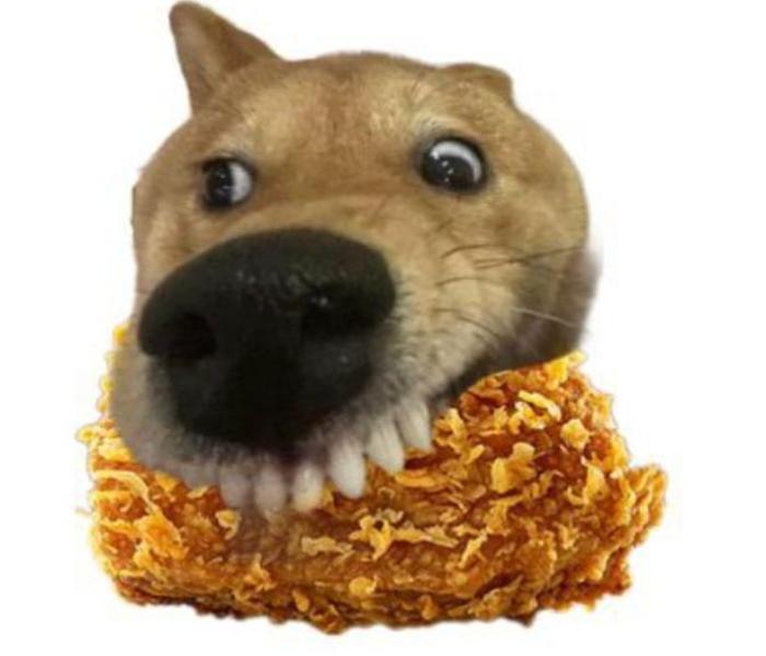 Hình ảnh chó gặm meme