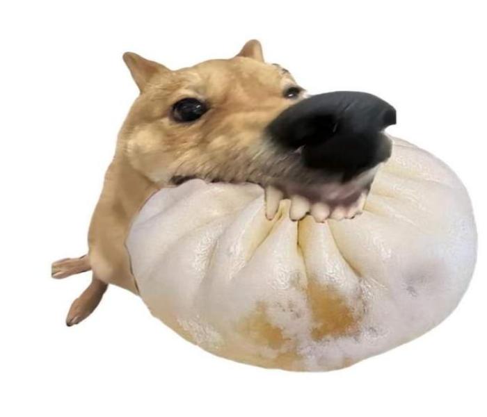 Hình ảnh chó gặm meme
