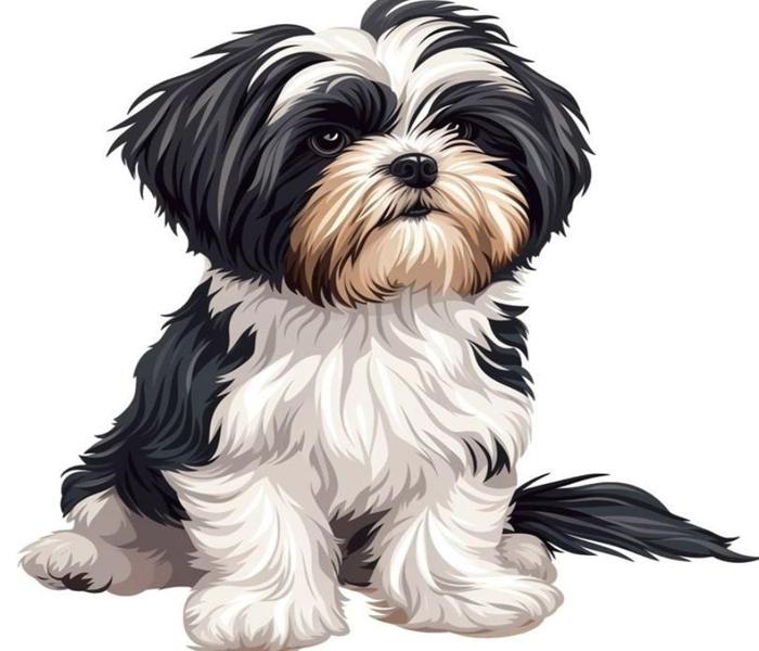 Hình ảnh chú chó cute