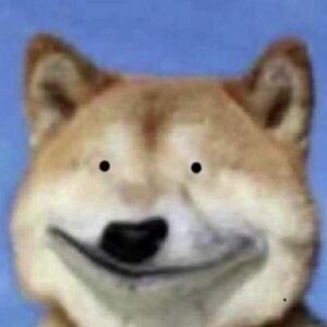 Ảnh chó ngu ngốc cute
