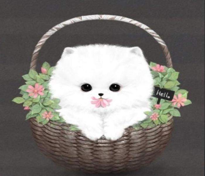 Hình ảnh chó Phốc chibi