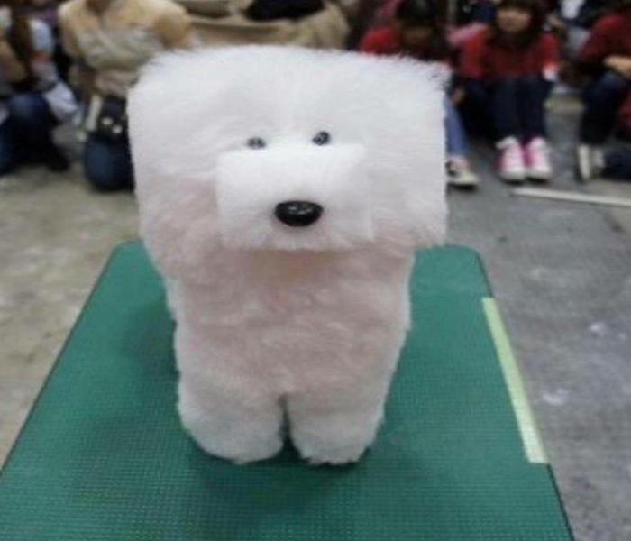 Hình ảnh Poodle meme