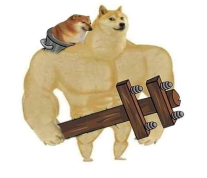 Hình meme chó cơ bắp shiba