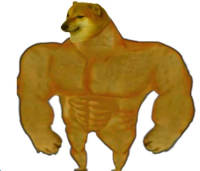 Hình meme chó cơ bắp shiba