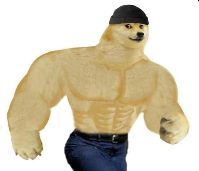 Hình meme chó cơ bắp shiba