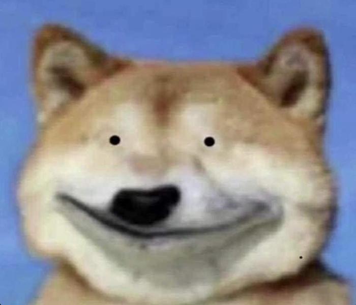 Hình ảnh meme chó Shiba