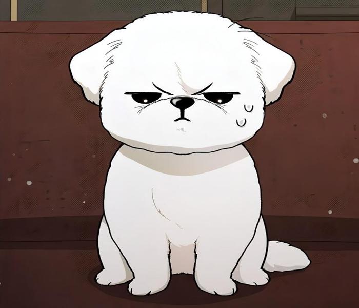Hình chó trắng chibi anime