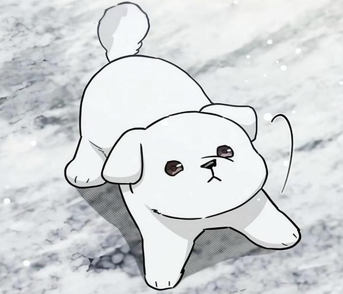 Hình chó trắng chibi anime