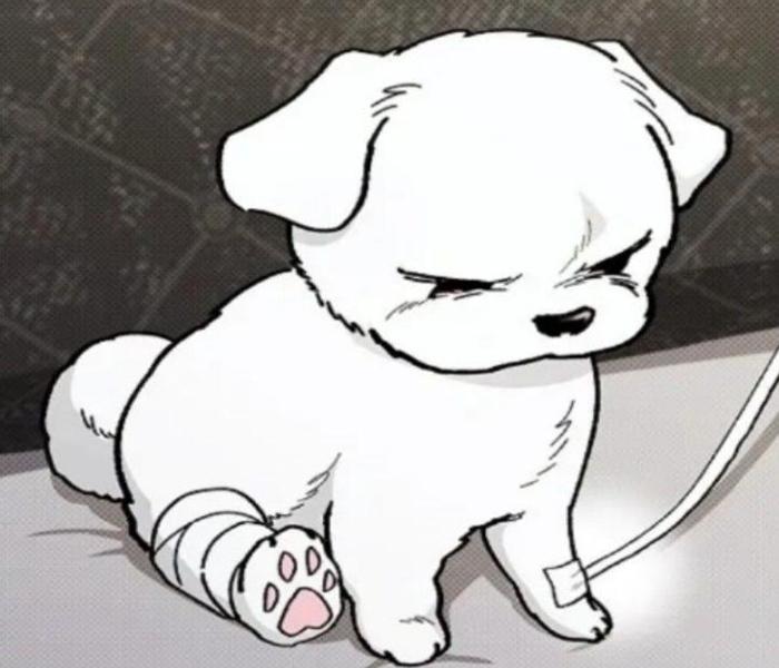 Hình chó trắng chibi anime