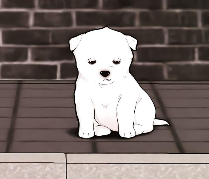 Hình chó trắng chibi anime