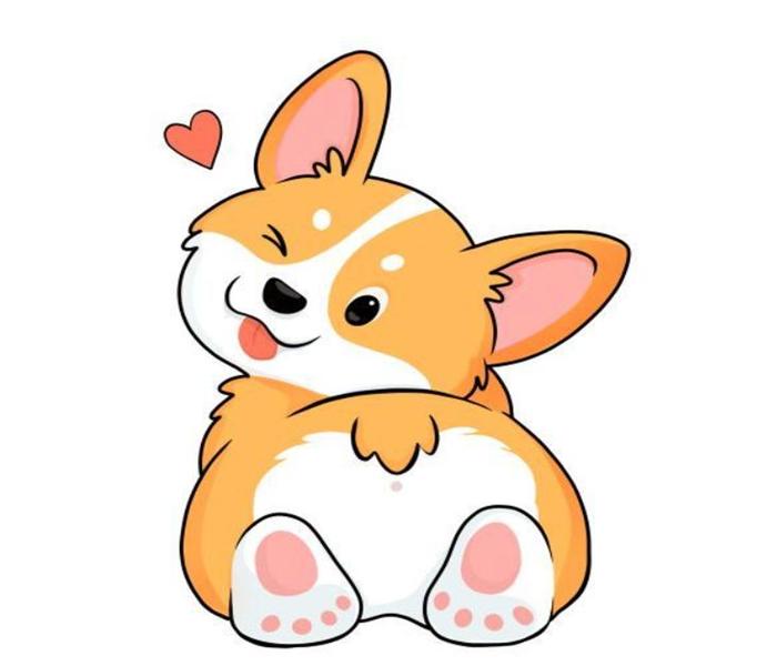 Hình ảnh chó vàng cute
