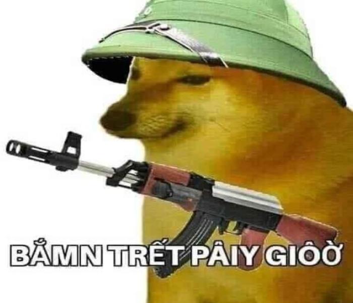 Hình ảnh chó vàng meme