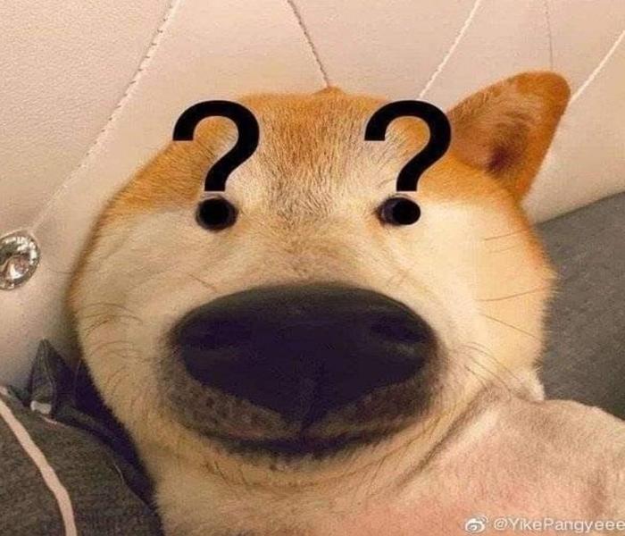Hình ảnh chó vàng meme