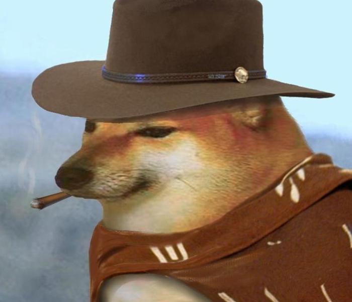 Hình chó đội mũ meme