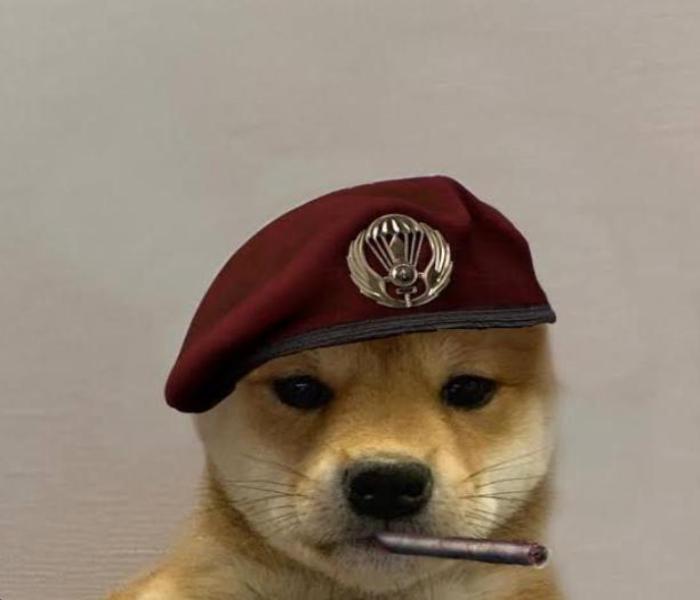 Hình ảnh con chó ngầu meme