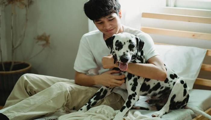 Hình ảnh người ôm chó