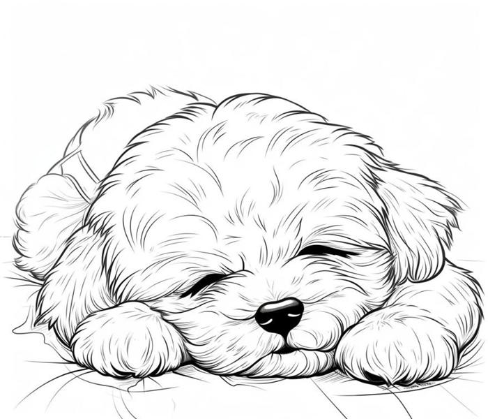 Tranh tô màu con chó cute