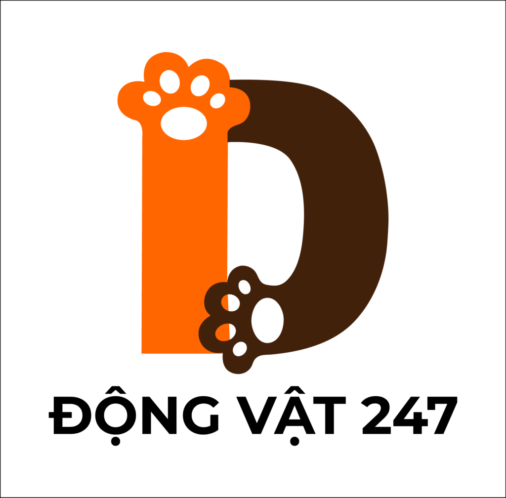 dongvat247.com