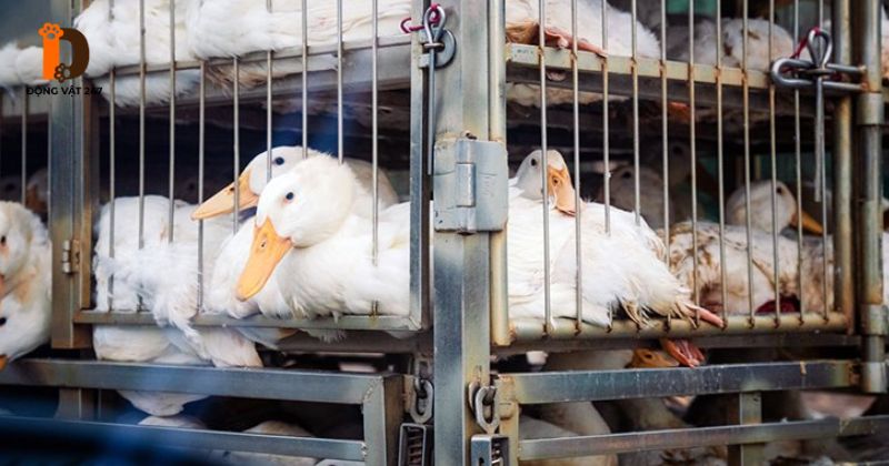 Những lưu ý quan trọng trong quá trình điều trị