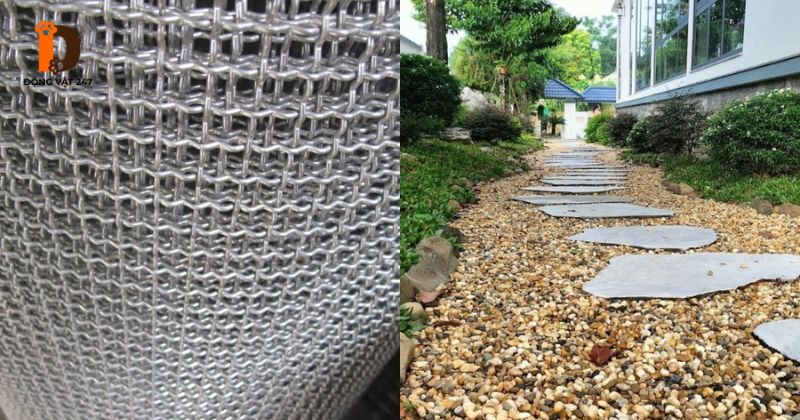 phòng tránh rắn vào vườn
