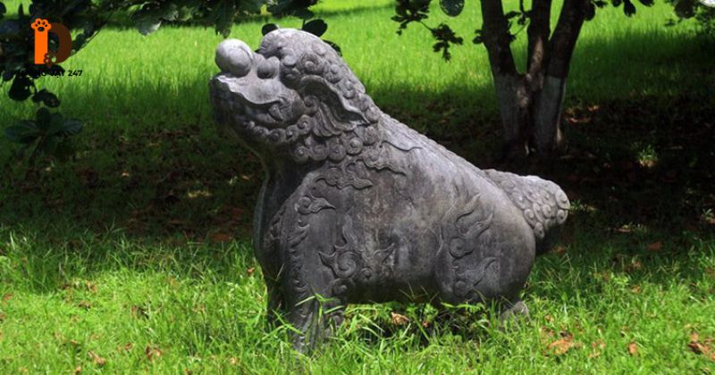 hình tượng con chó trong văn hóa dân gian