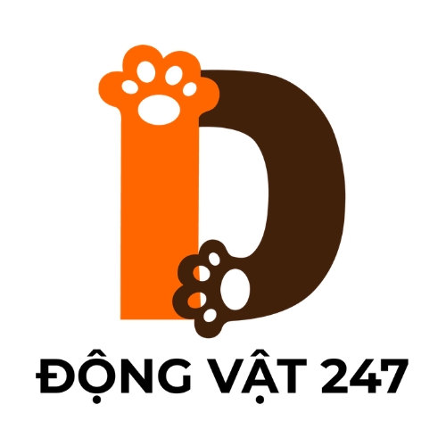 dongvat247.com