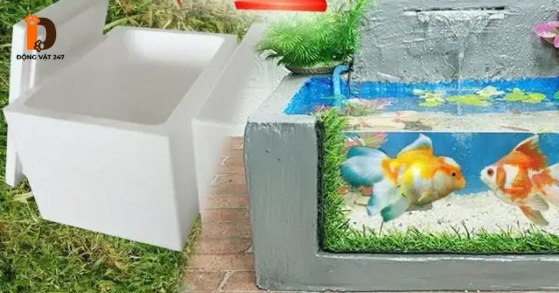 setup bể cá thùng xốp