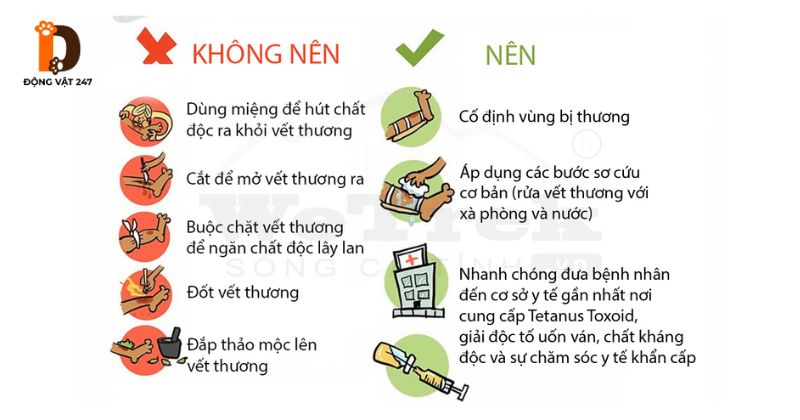 xử lý khi gặp rắn