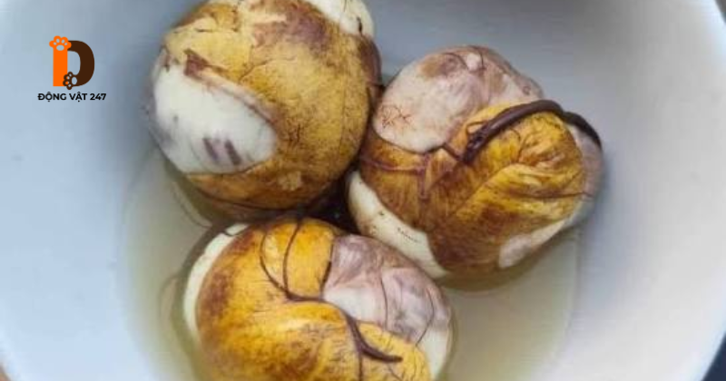 Luộc chín trứng