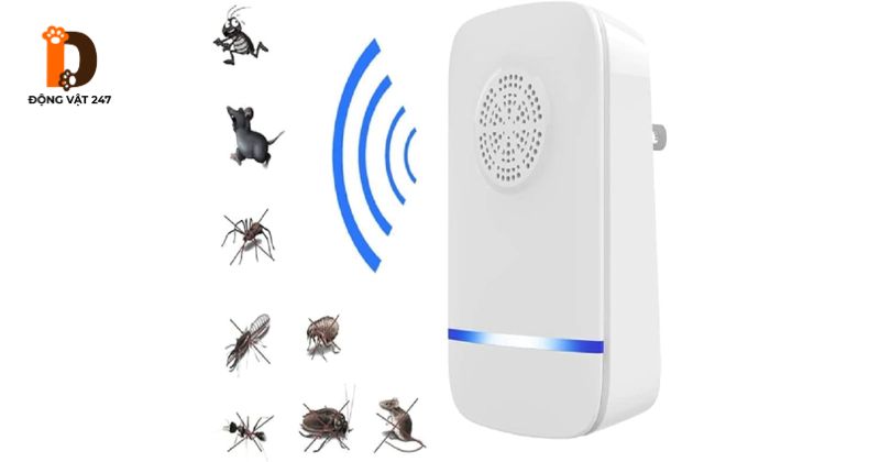 thiết bị đuổi bò sát bằng sóng âm
