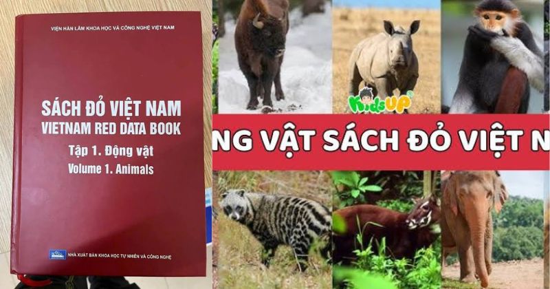 Danh sách đỏ động vật quý hiếm và giải pháp bảo tồn