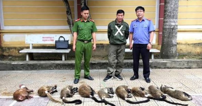 Giải pháp bảo vệ động vật quý hiếm bằng công nghệ và pháp luật